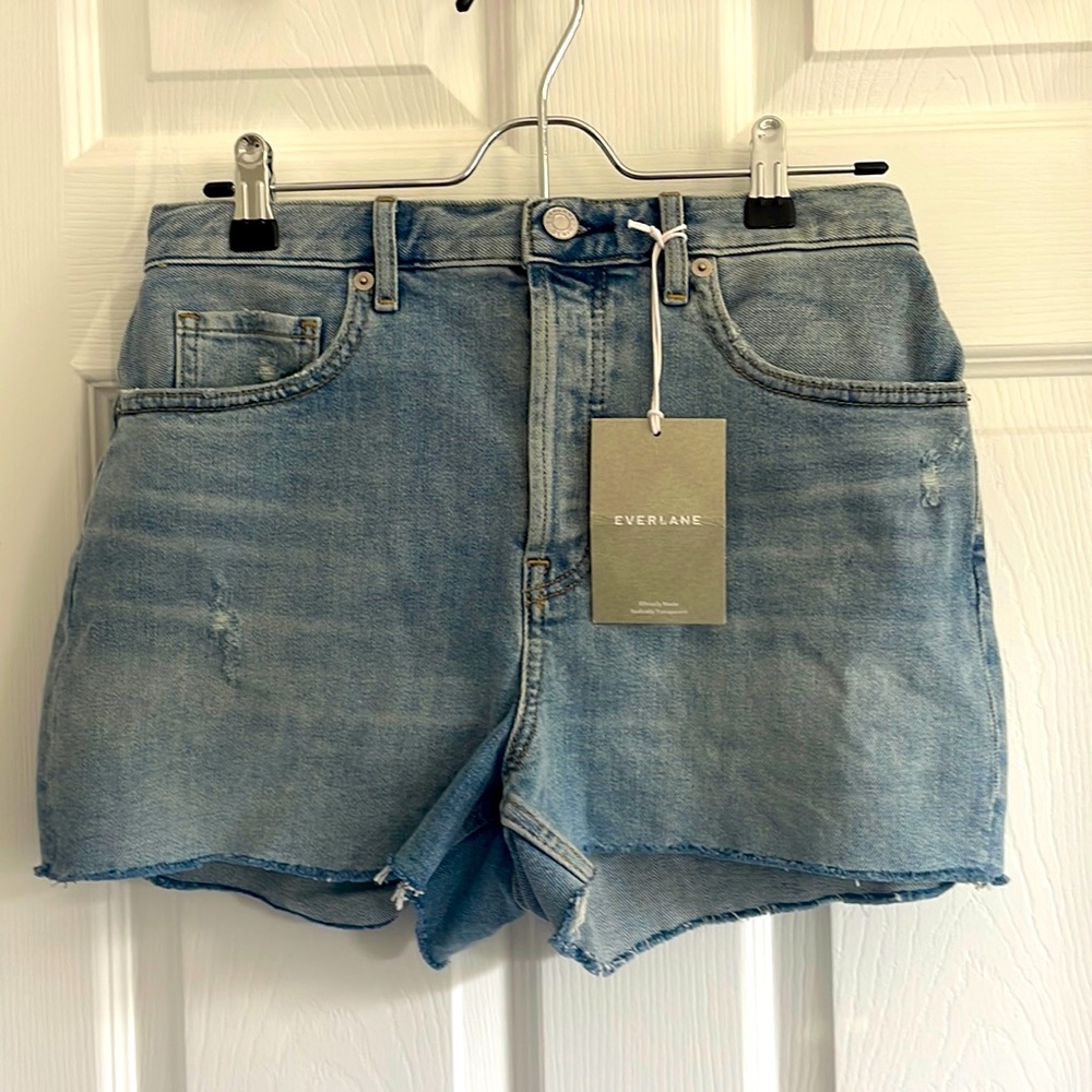 Everlane cheeky short
